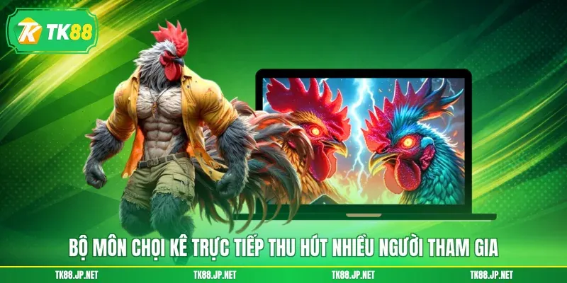 Bộ môn chọi kê trực tiếp thu hút nhiều người tham gia